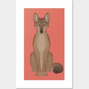 Arabian Wolf Posters and Art